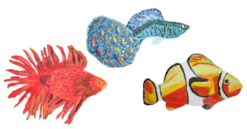 Three fish