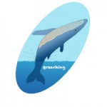 breaching diagram