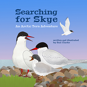 Searching for Skye | Gail Clarke